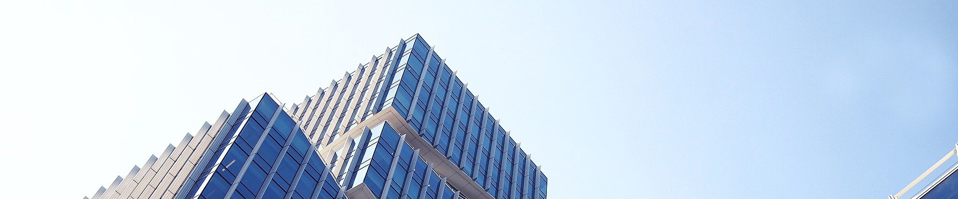 廣州壹元展覽策劃有限公司的發展歷程圖片